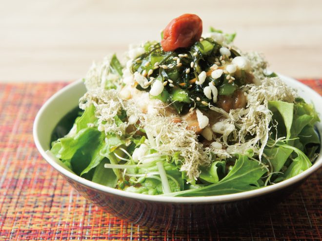 梅わさび野沢菜昆布納豆天かすとろろ昆布サラダ